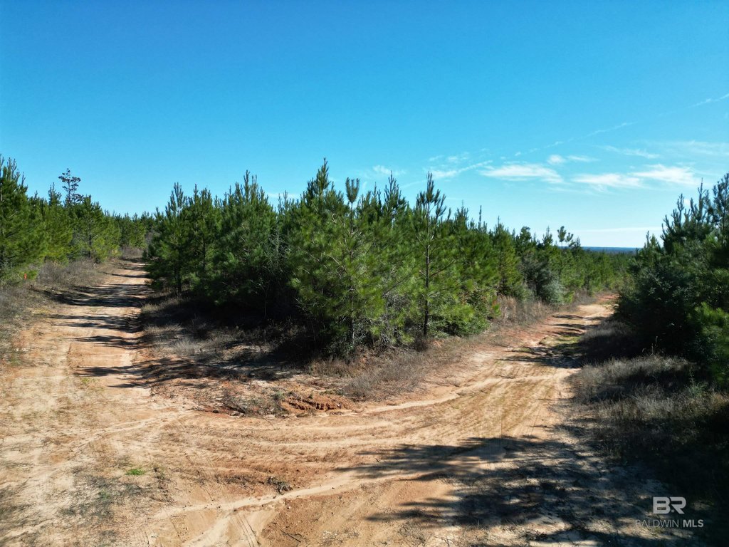 Picture 12