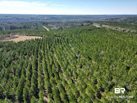 Timberland Farmland Tract