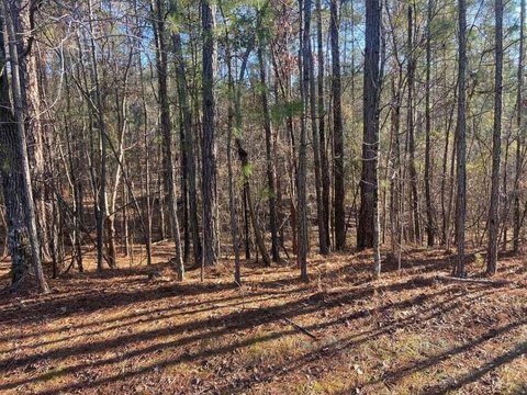Residential Land in Savannah Lakes