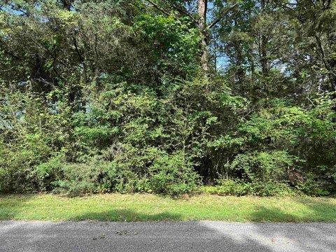 Buildable Lot Near Lake Hamilton