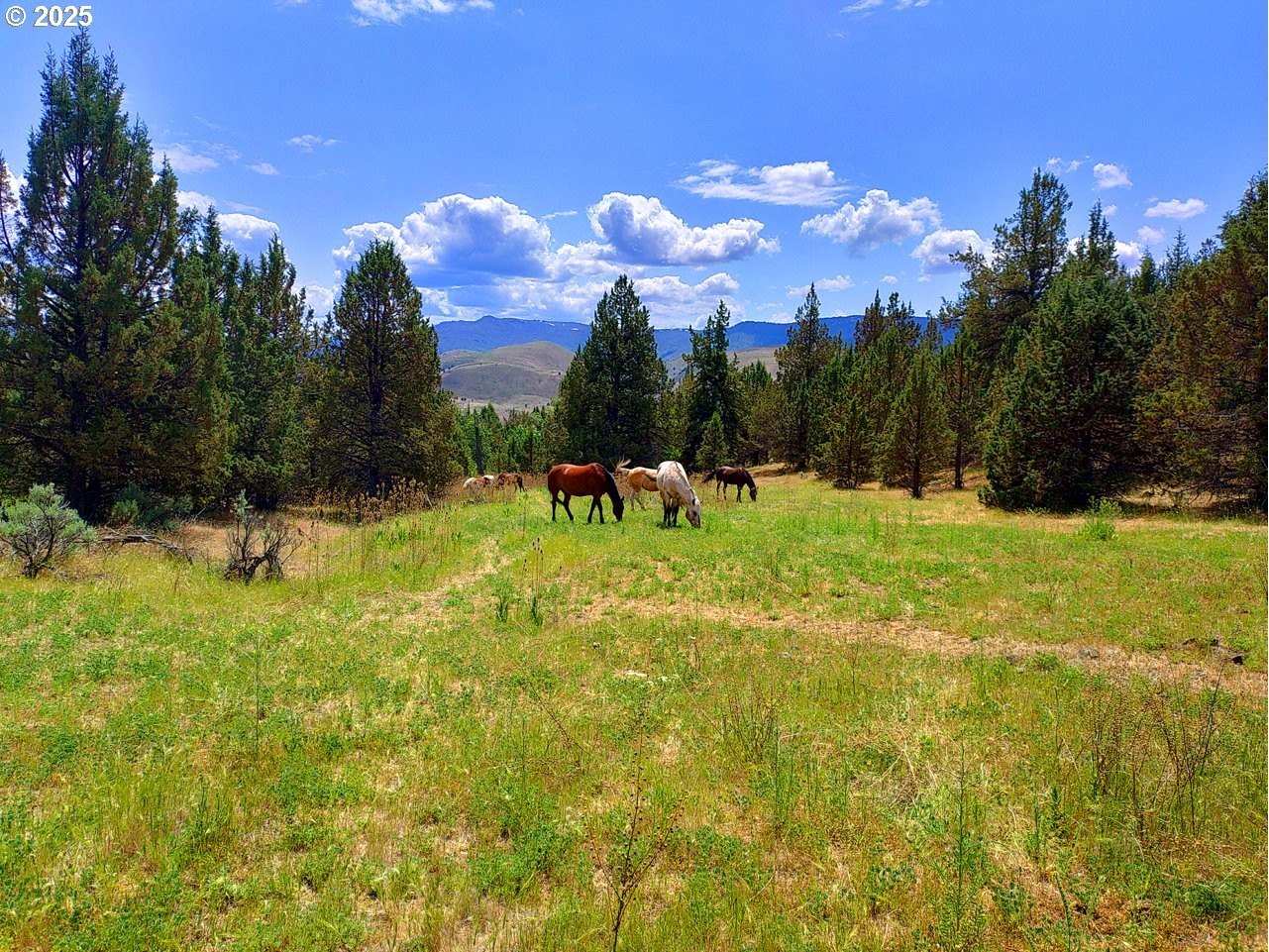 240 Acres Recreational Land, Dayville