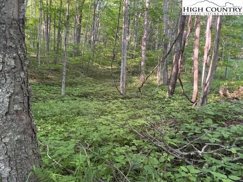 Creston, NC Campsite Lot