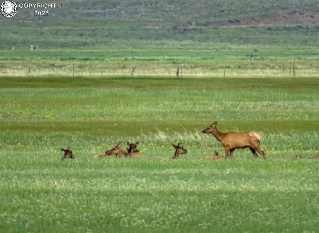160 Acres in Wet Mountain Valley