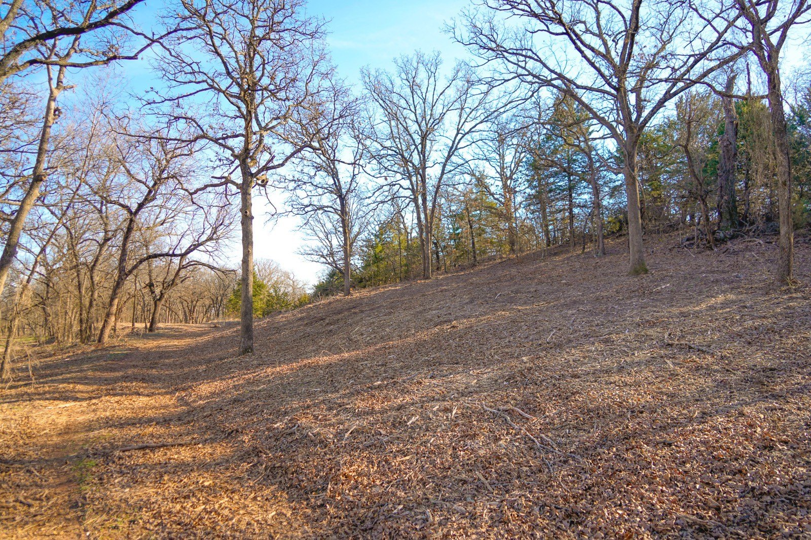 Arcadia OK Vacant Land