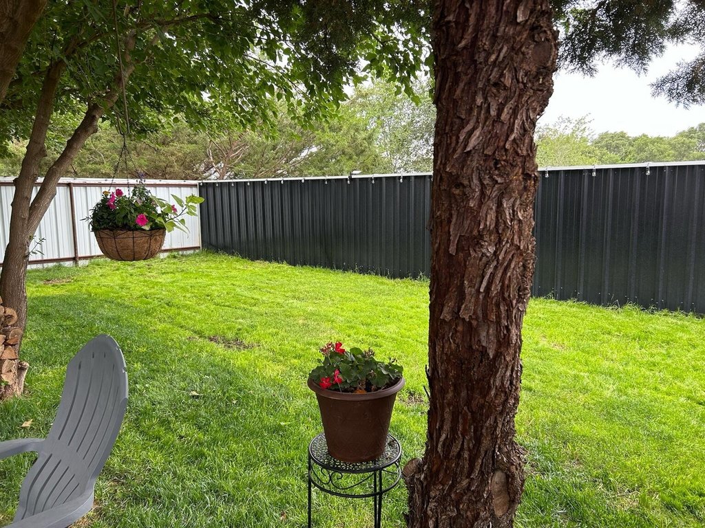 Picture 23