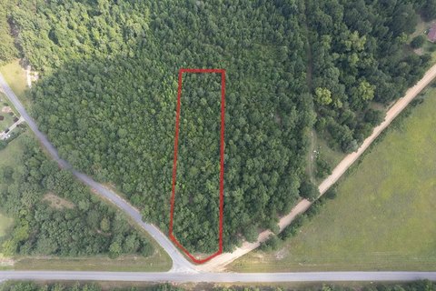 Seale, AL Wooded Acreage