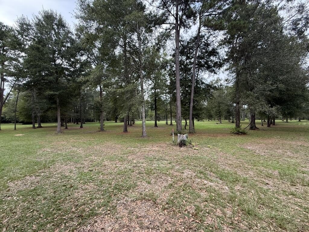Picture 12