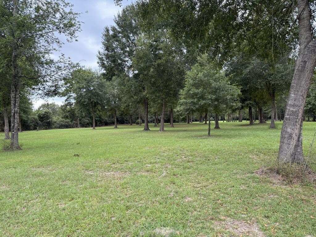 Picture 20