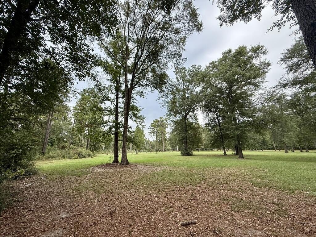 Picture 26