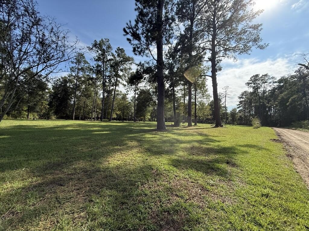 Picture 13
