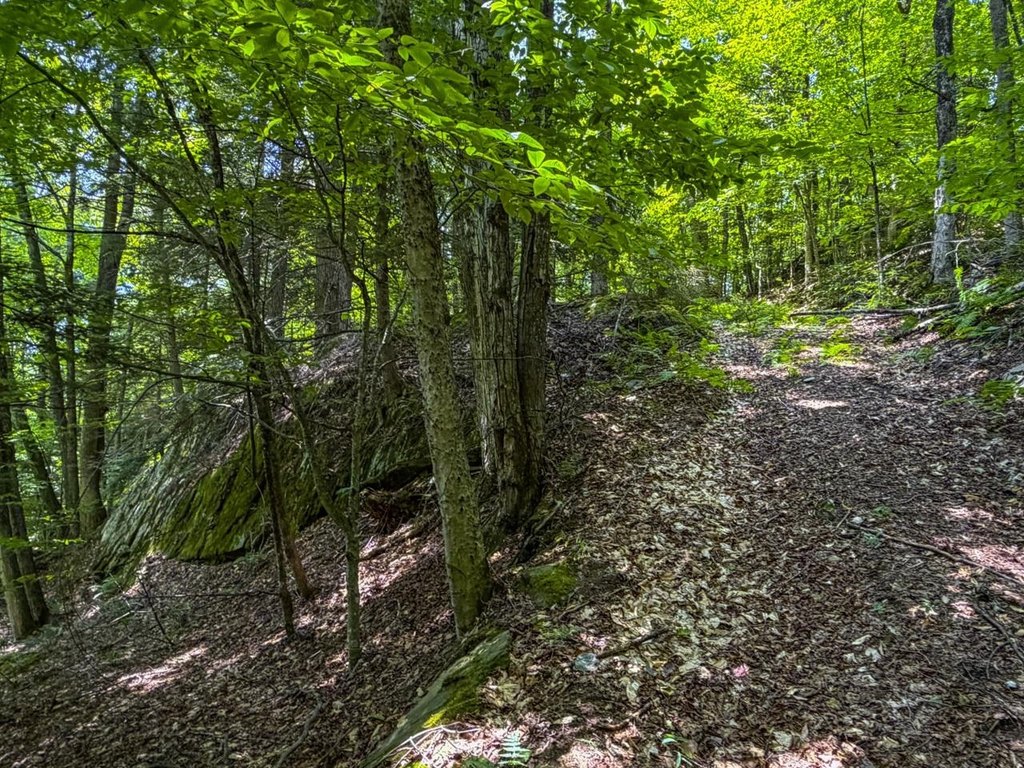 Picture 25