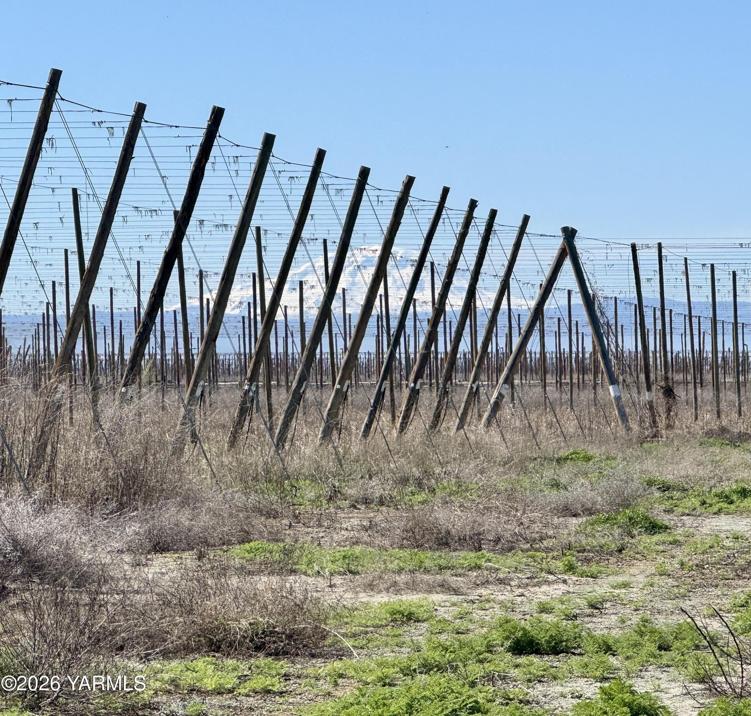 Toppenish Land with Irrigation Rights