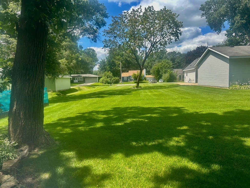 Picture 5