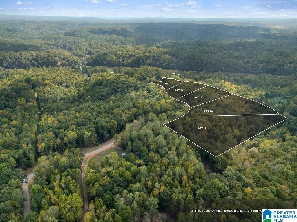 Picture 7