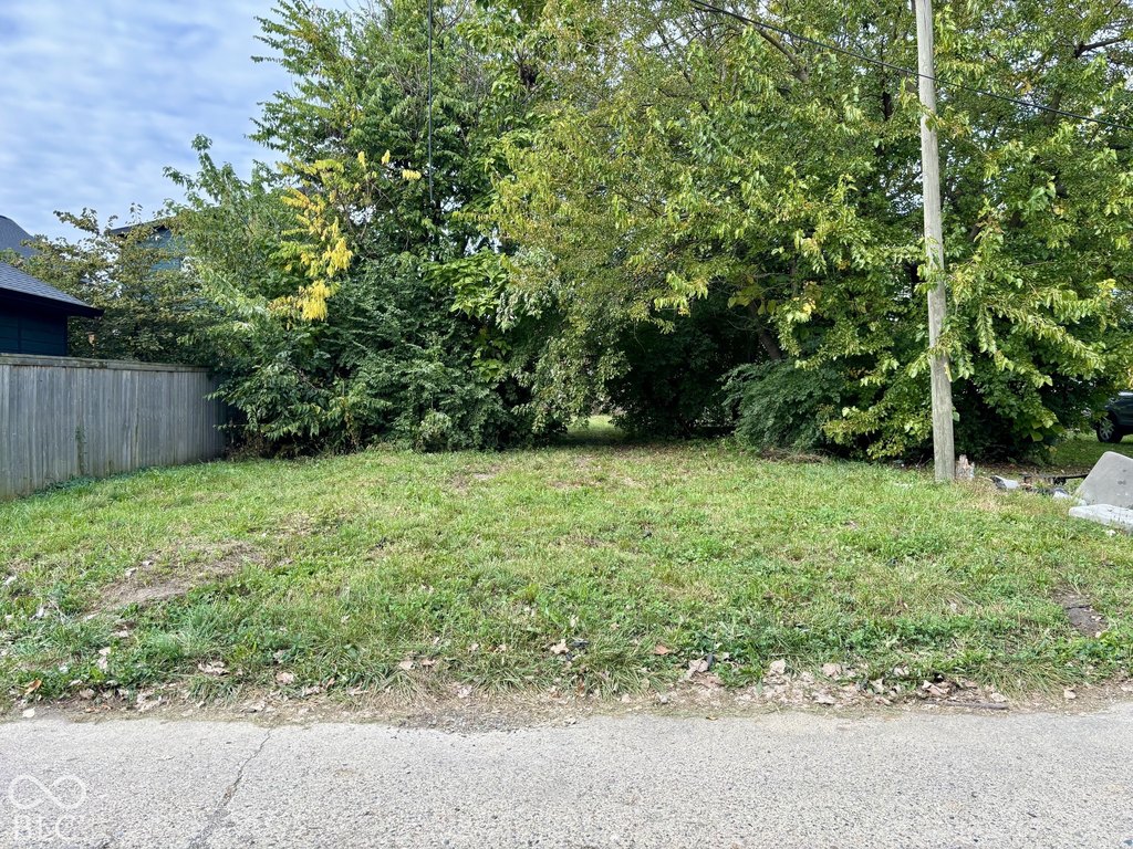 Picture 2
