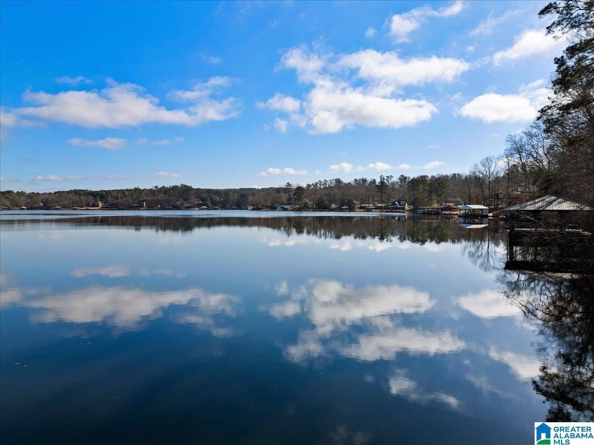 Water Access Lots with Dock