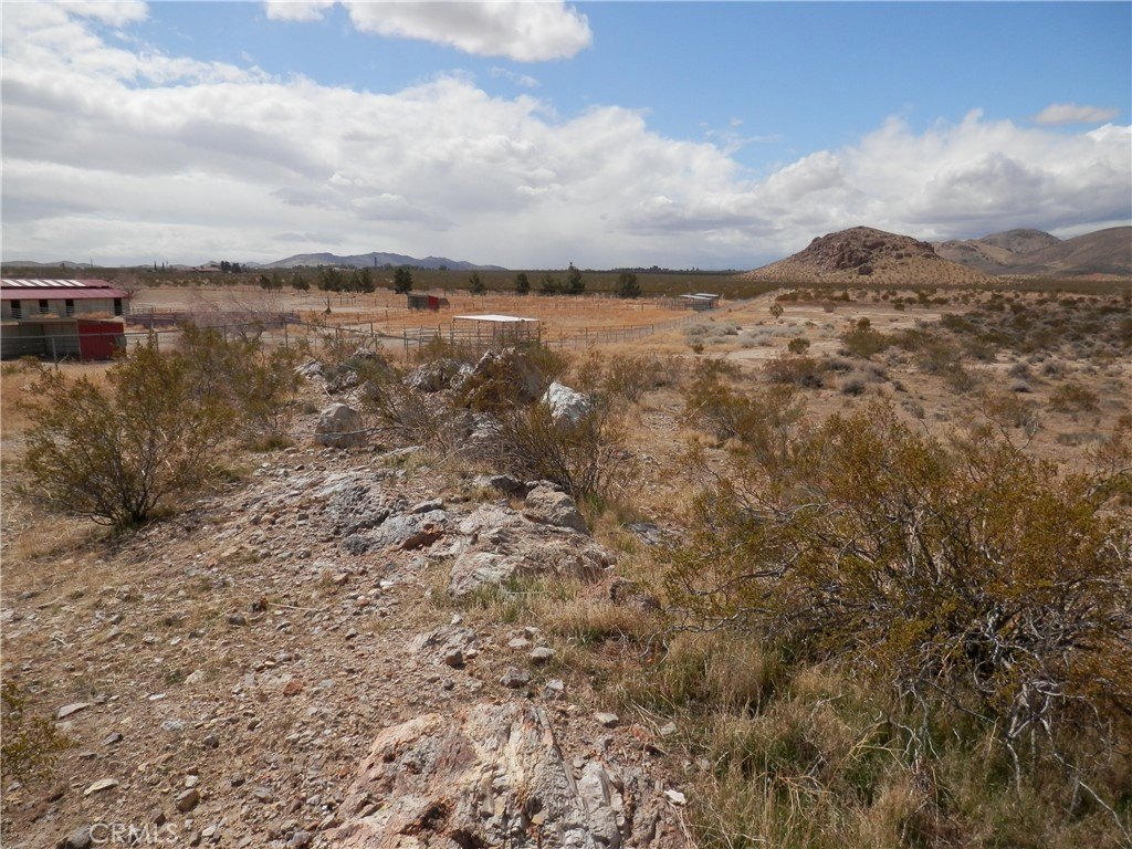 Picture 9