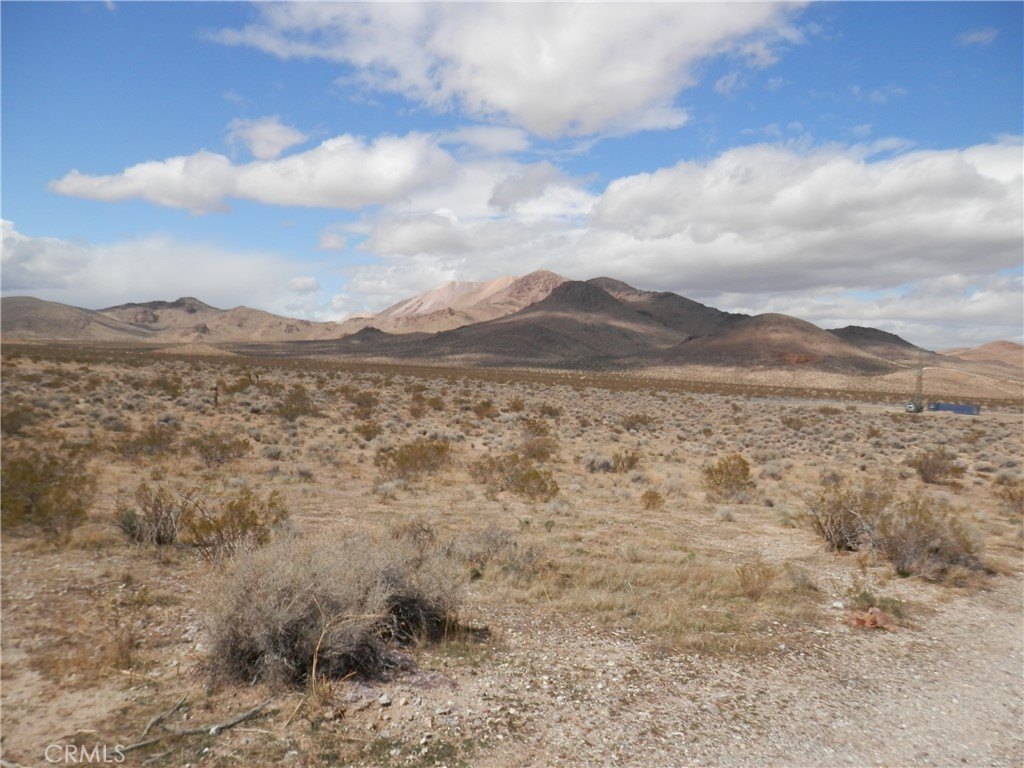 Picture 8