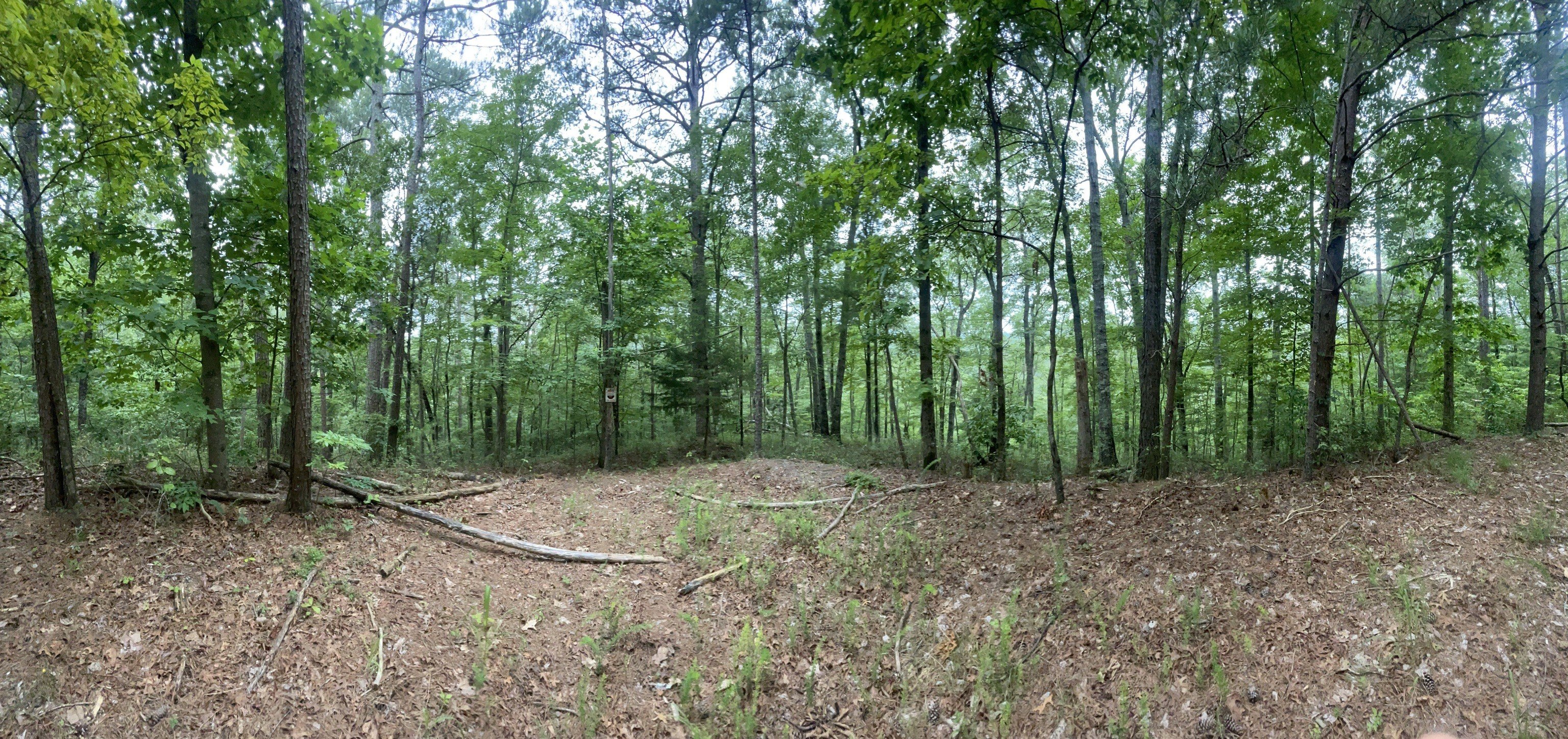 Ranger, GA Secluded Lot