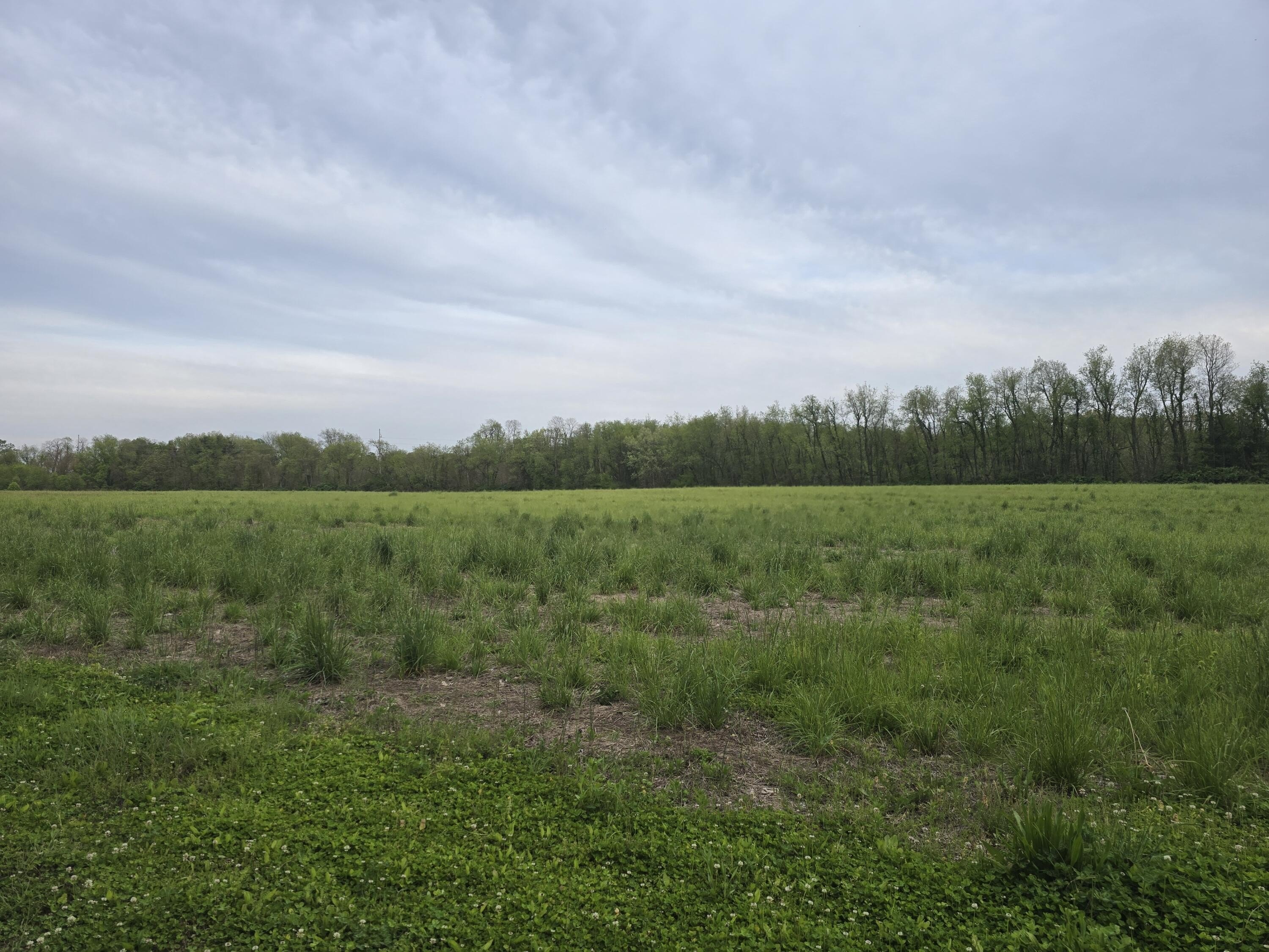 Rolling Prairie Land for Sale