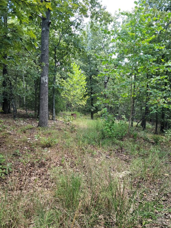 Picture 26