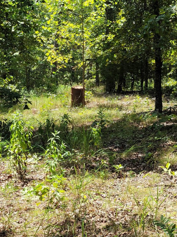 Picture 31
