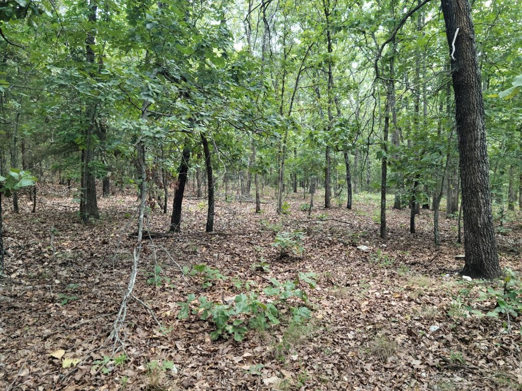 Picture 17