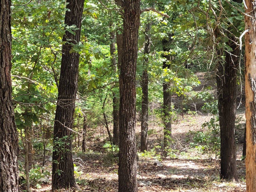Picture 15