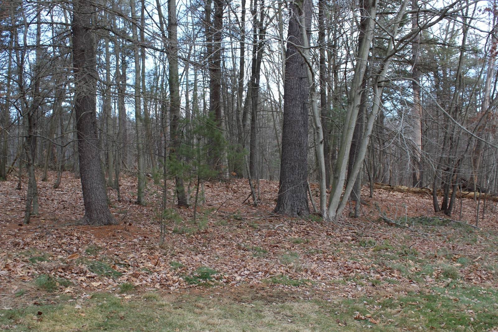 Huntingdon Vacant Land For Sale