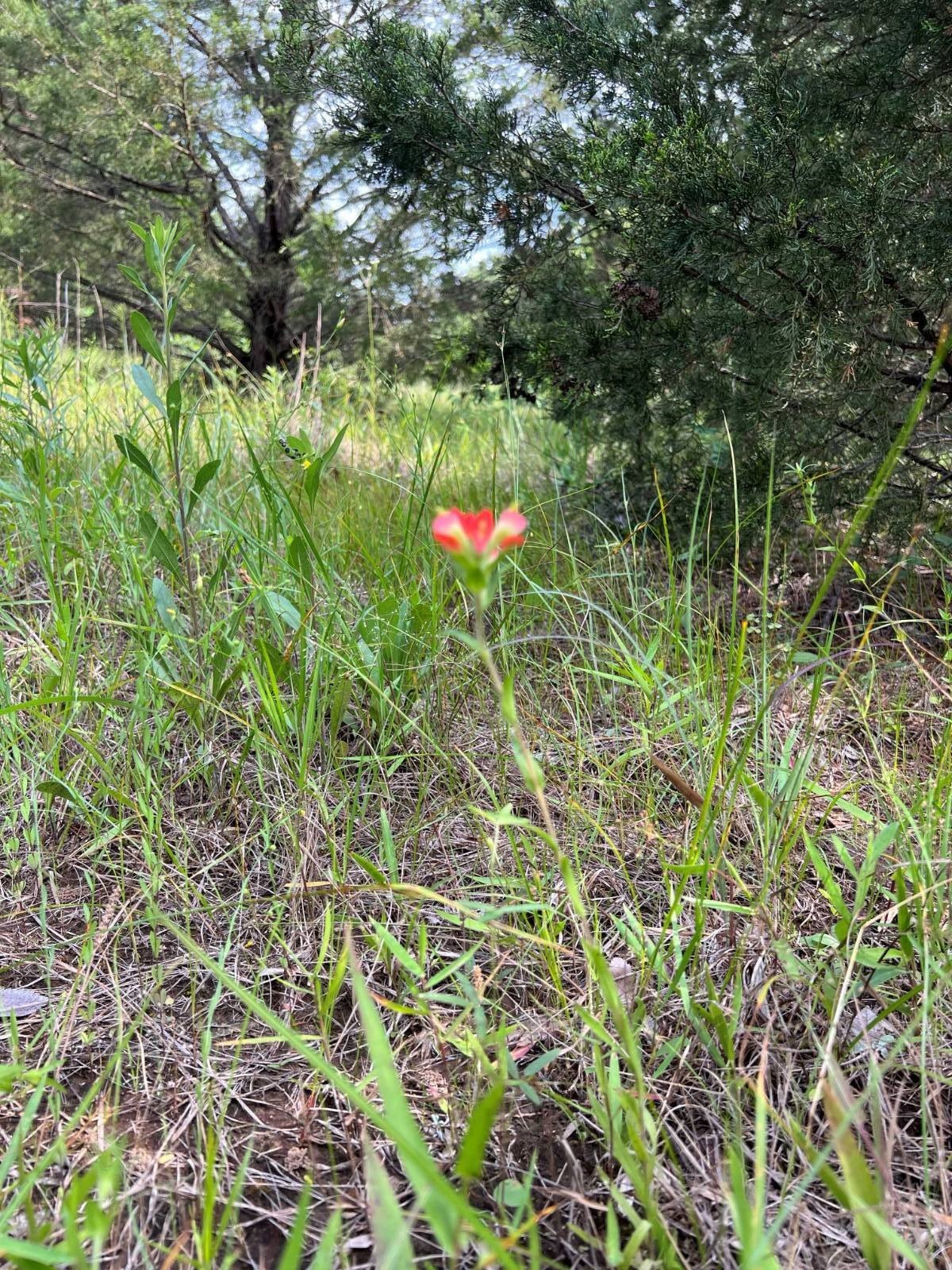 Colbert, OK Vacant Land