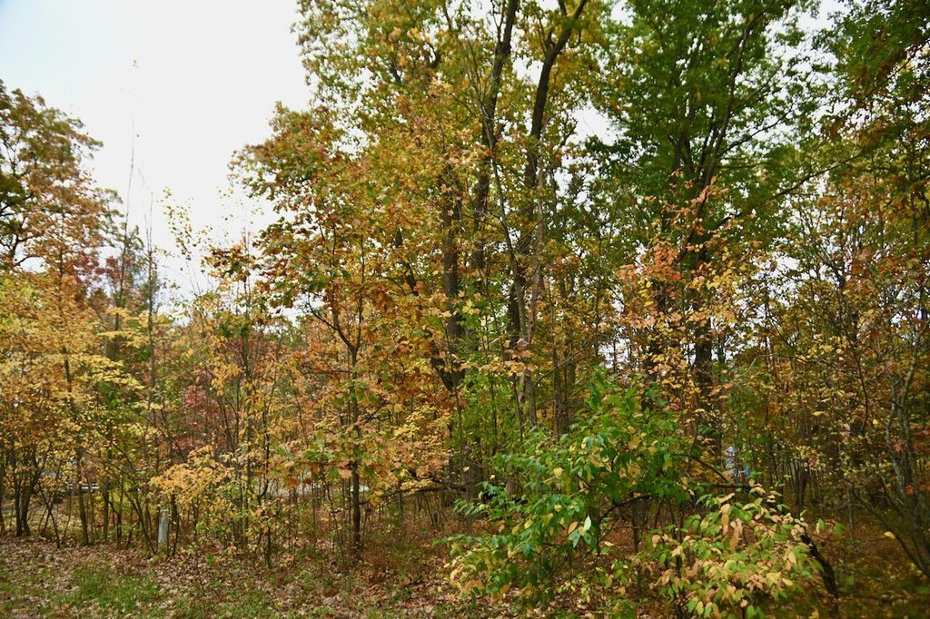 Picture 8