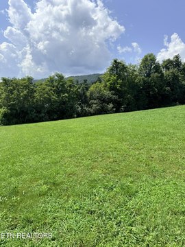 Lots & Acreage, Jacksboro, TN
