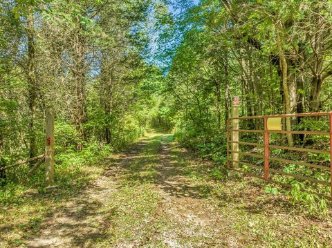 Gated Hunting Land with Paved Frontage