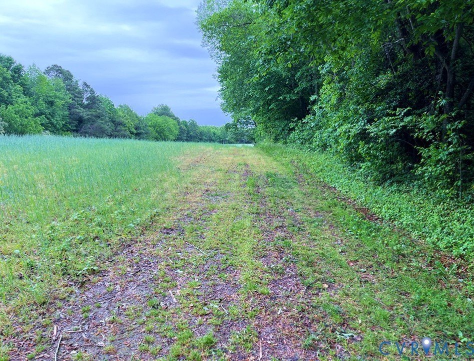 Picture 14