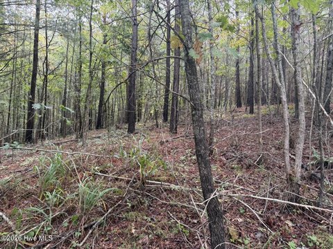 Land, Murphy, NC