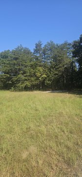 Land, Nancy, KY