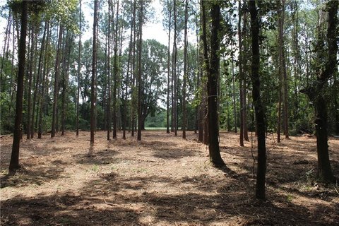 LAND - NOTASULGA, AL