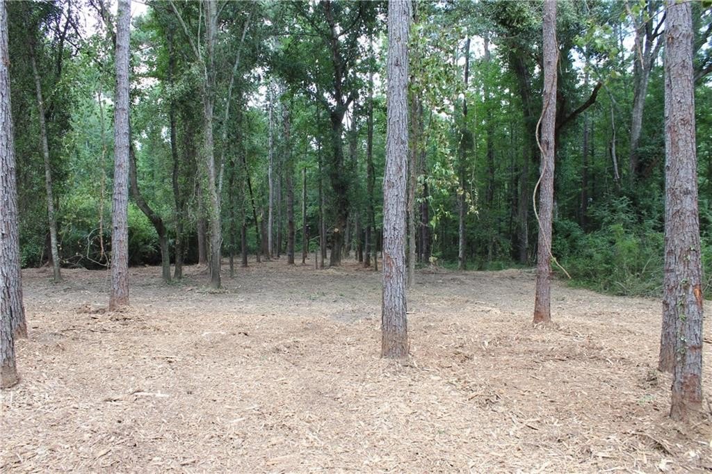 Picture 6