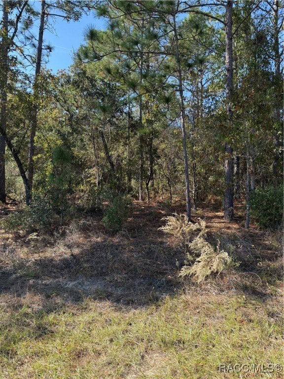 Citrus Springs Homesite Opportunity