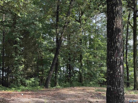 Waterfront Lot in Cherokee County