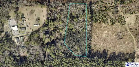 LAND - Society Hill, SC