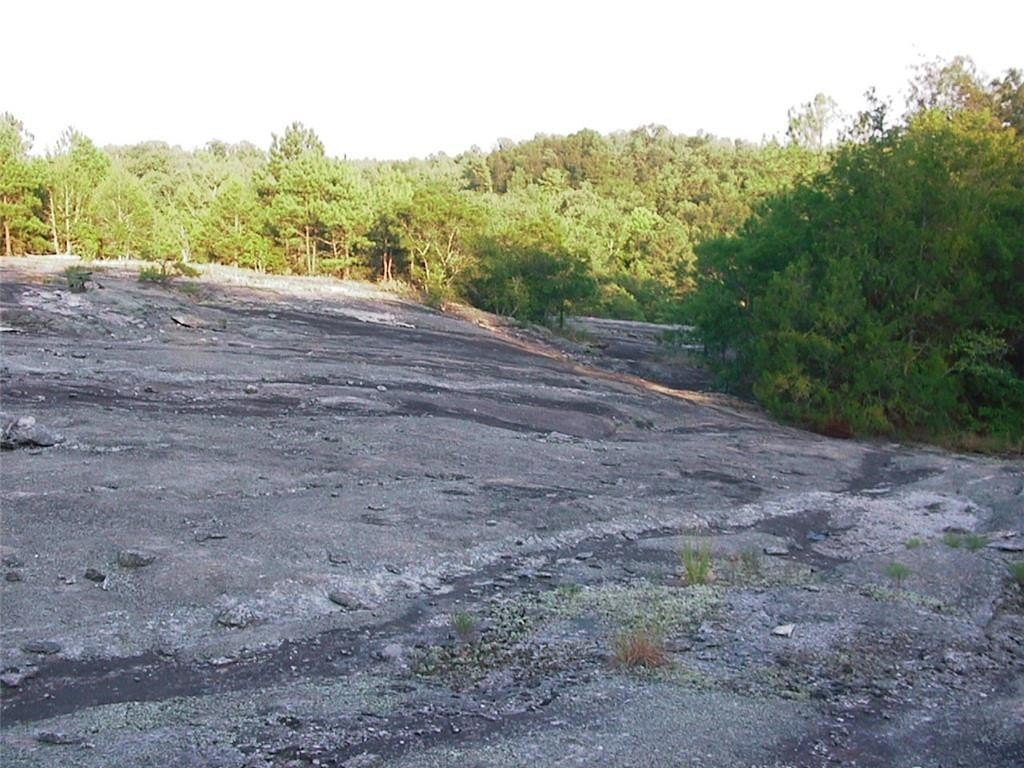 Picture 22