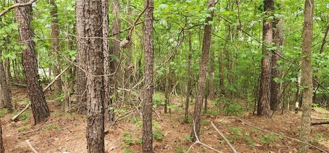 Land, Loganville, GA