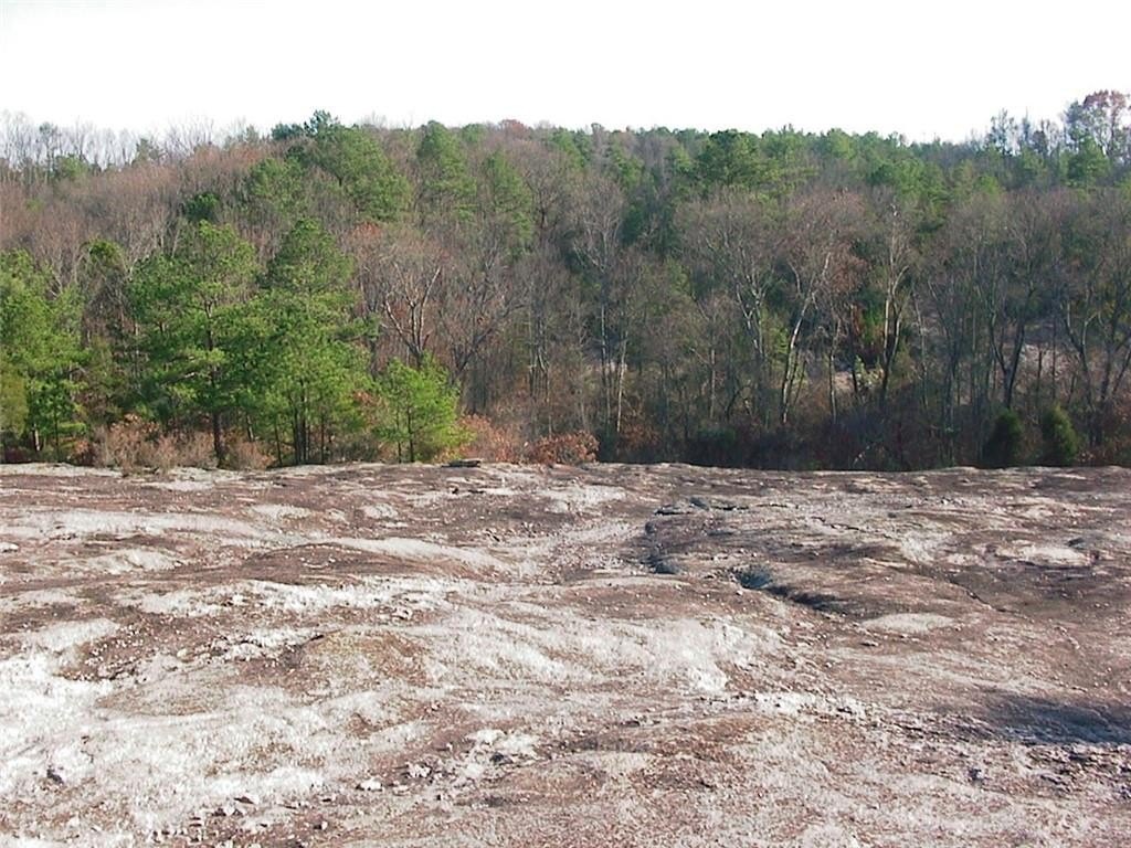 Picture 36
