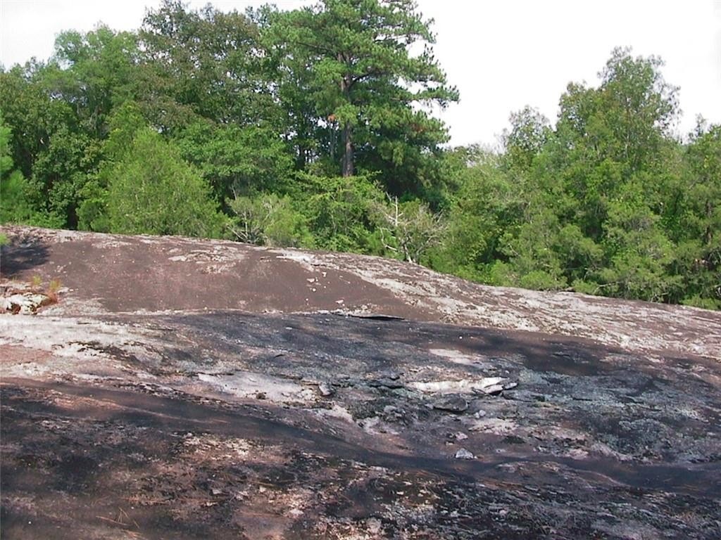 Picture 24