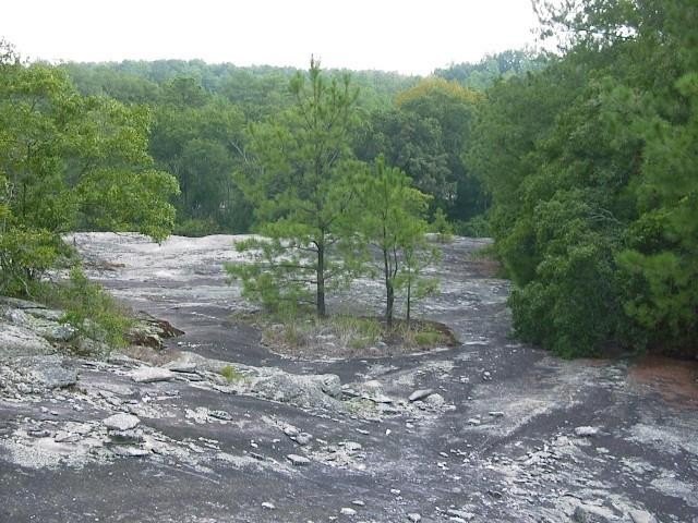 Picture 45