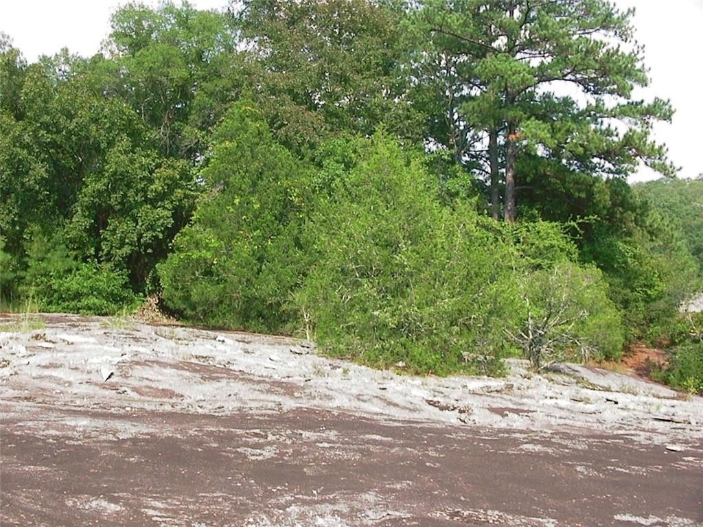 Picture 26