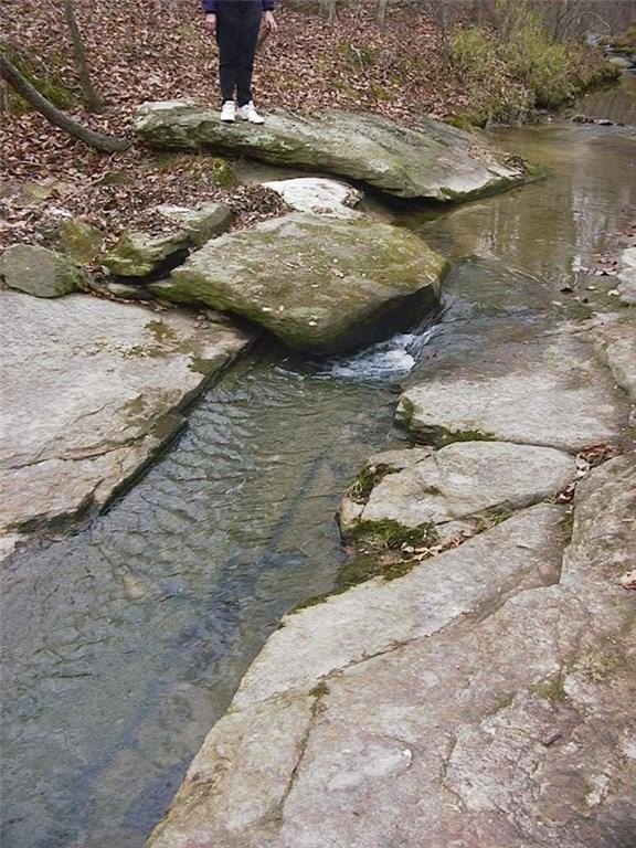Picture 39