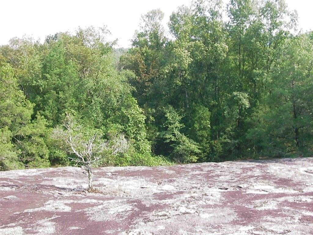 Picture 25