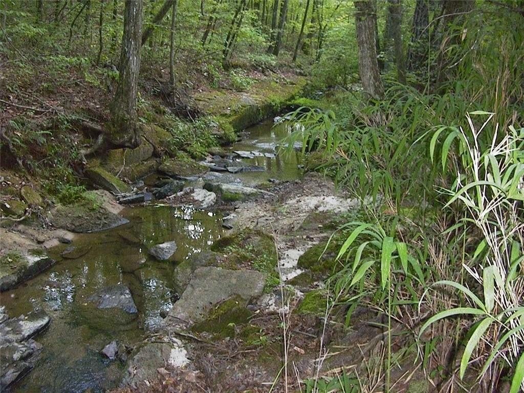 Picture 43